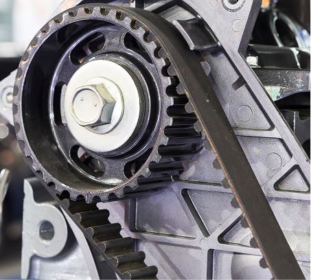 Correia e Tensionador